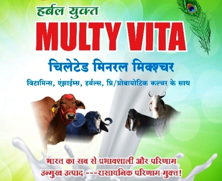 Multy link Sales and Services's Image